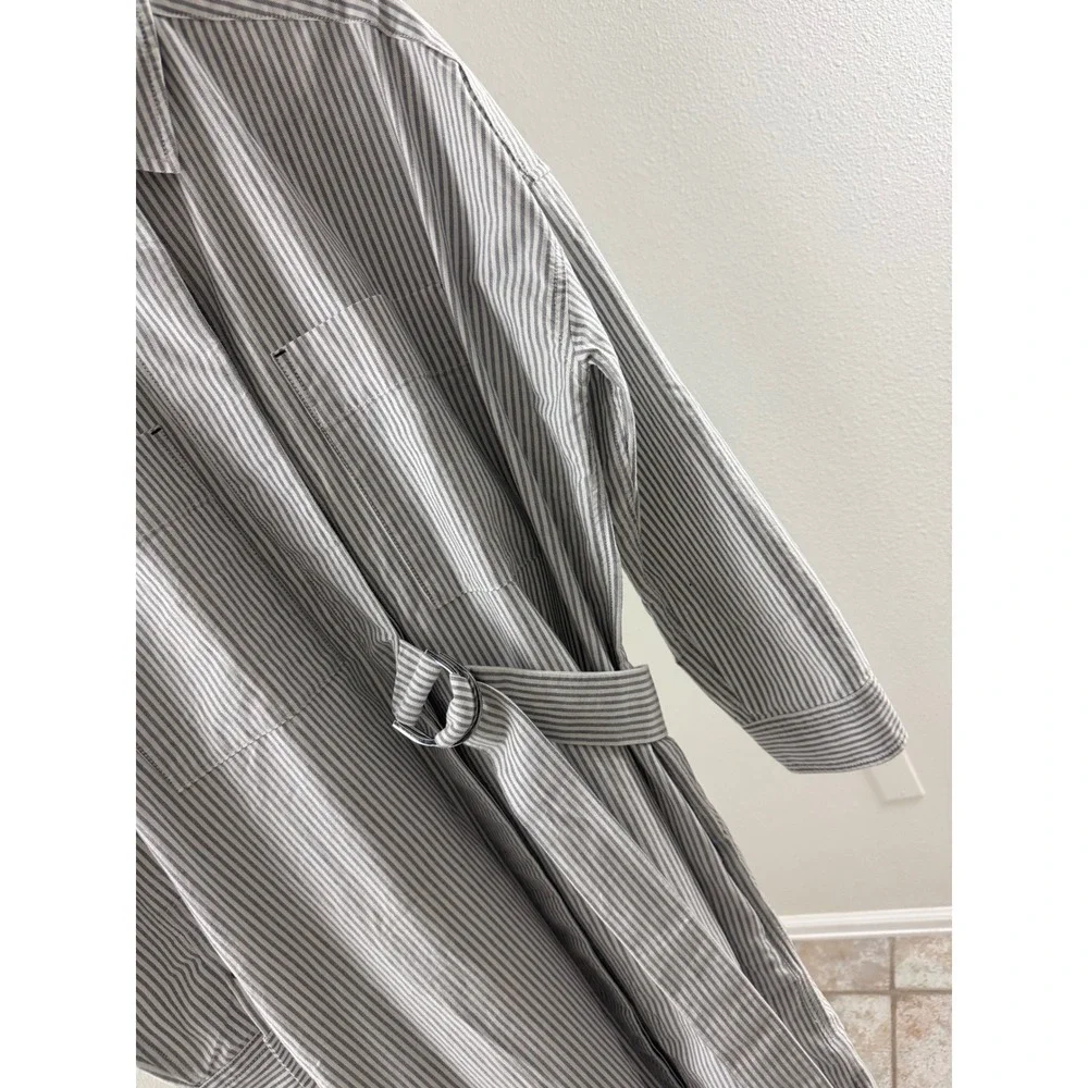 Everlane Oxford Shirtdress‎ Blue White Stripe Organic Cotton Belted Midi Dress